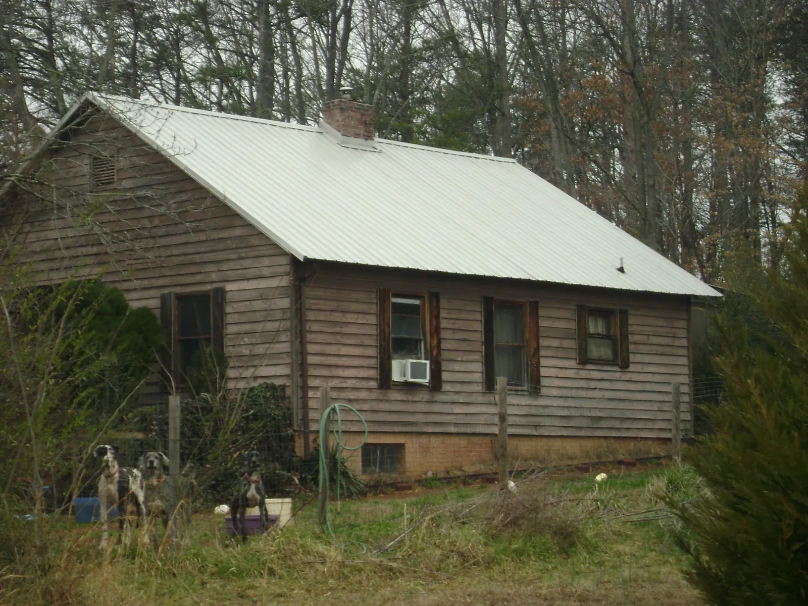 White metal roof on an old wood sided farmhouse, from a Asphalt Shingle Roof Repair job in Crestline